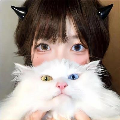 功夫灌篮 在线观看